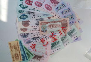 錢幣收藏升值雖快,但入行投資也需 專業(yè)