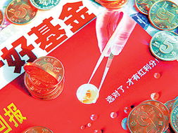 投資者看重避險(xiǎn) 貨幣基金再度現(xiàn)身